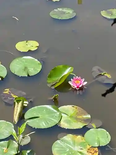 勧修寺の庭園