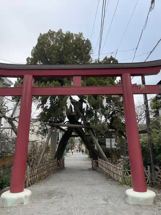 荏柄天神社(神奈川県)