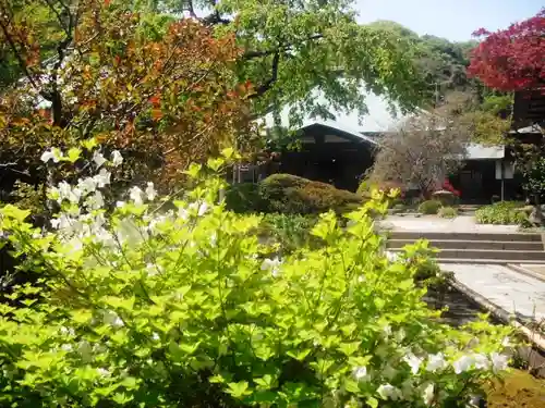 海蔵寺の庭園