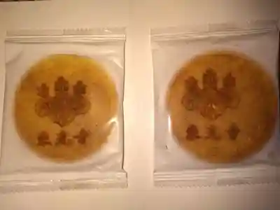 東光寺(埼玉県)