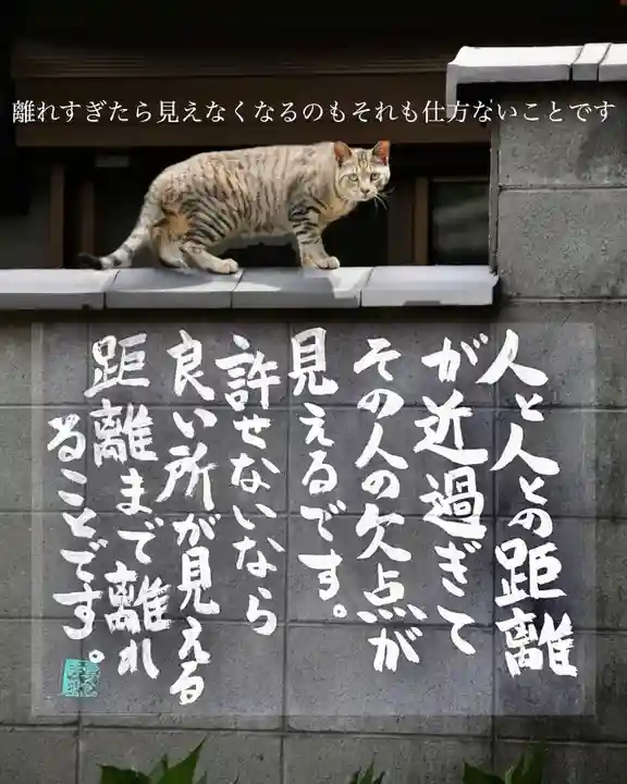 専念寺(大阪府)