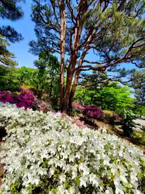 開成山大神宮(福島県)