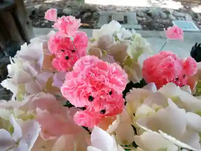 琴似神社(北海道)