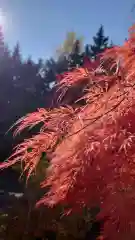 相馬神社(北海道)