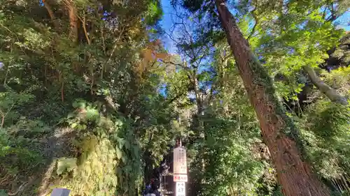 笠森寺(千葉県)