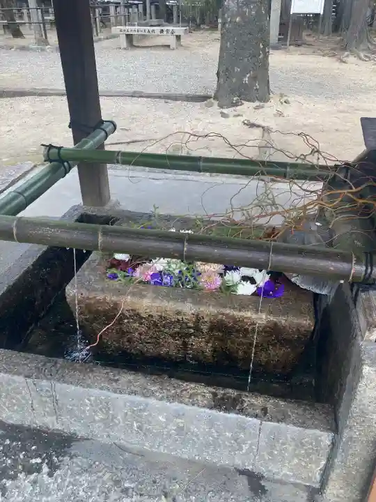 立木神社(滋賀県)