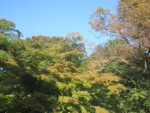 天麟院(宮城県)