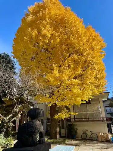 千住本氷川神社(東京都)