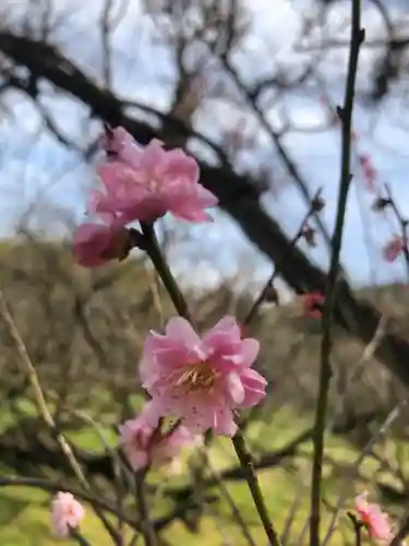菅原神社の自然