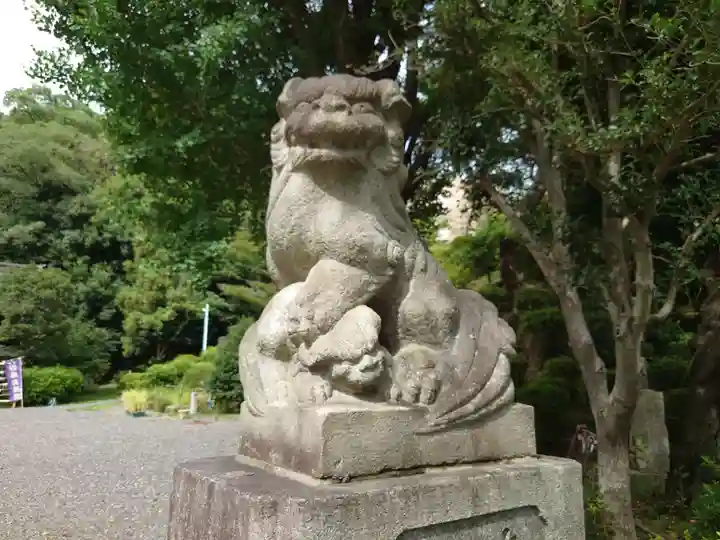 武州白子熊野神社の狛犬