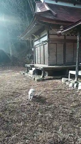 徳楽寺(山梨県)