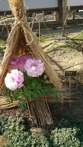 上野東照宮の自然