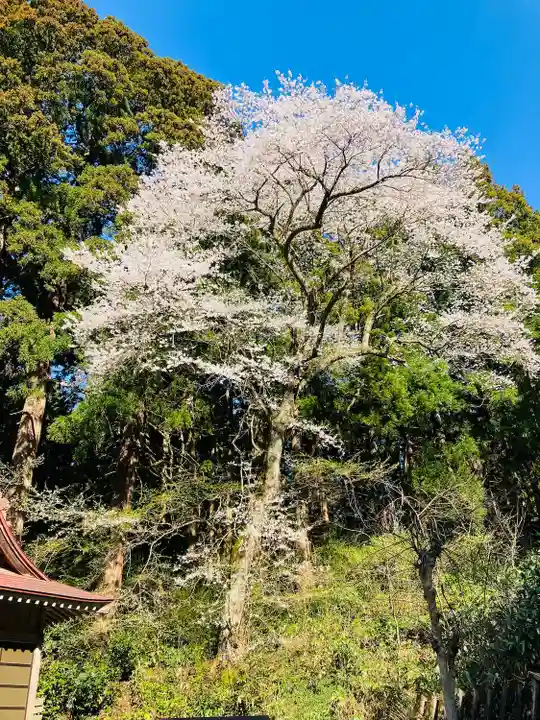 風巻神社の自然