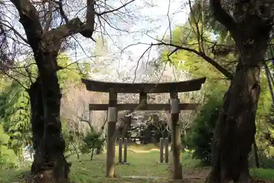 見渡神社の鳥居