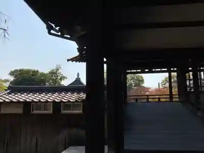 本徳寺の山門・神門