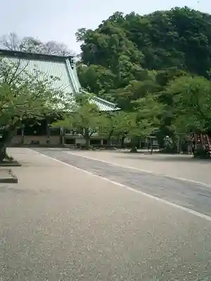 光明寺の本殿・本堂