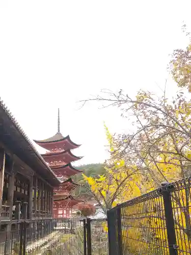 豊国神社 の景色