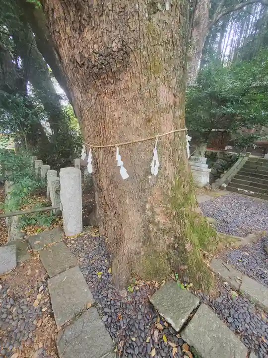 日枝神社の自然