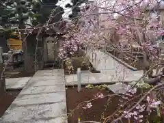 天暁山　一行院(東京都)