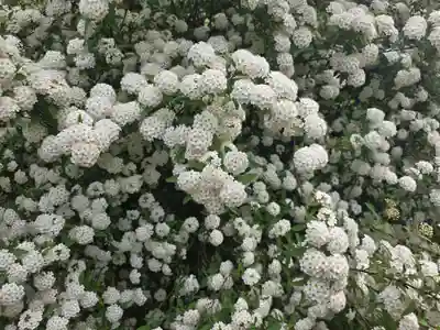 八角堂(京都府)