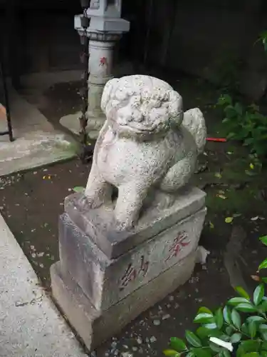 染井稲荷神社の狛犬