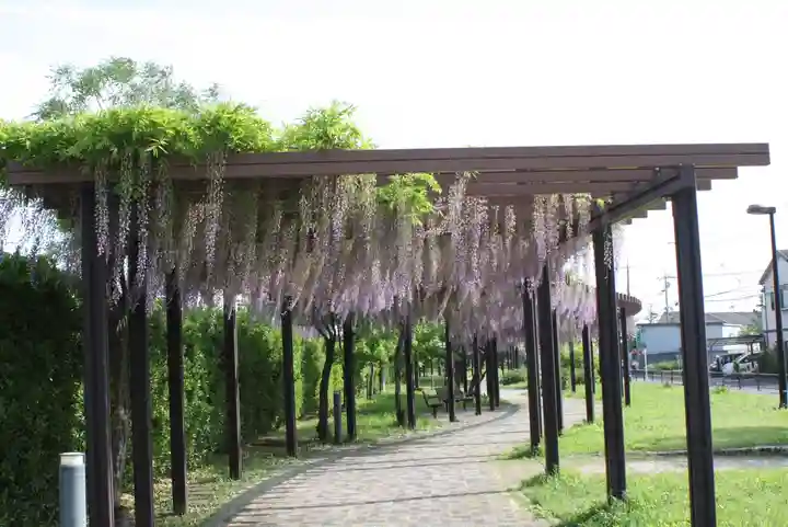 松尾神社(京都府)