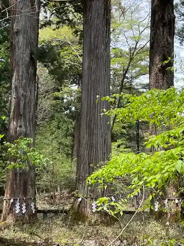 瀧尾神社（日光二荒山神社別宮）(栃木県)
