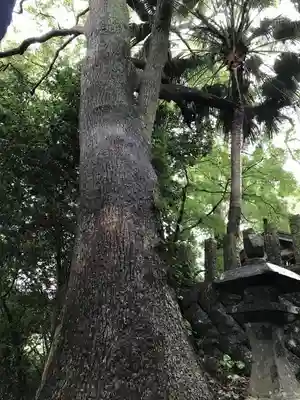 霧島神社のその他建物
