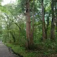 戸隠神社奥社の自然