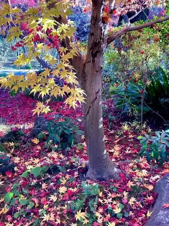 本土寺(千葉県)