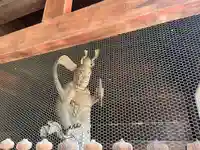 天増寺(群馬県)