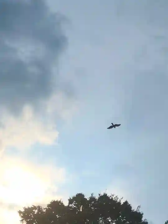 不動院(板橋不動尊)(茨城県)