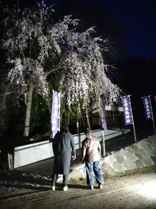 立鉾鹿島神社の庭園