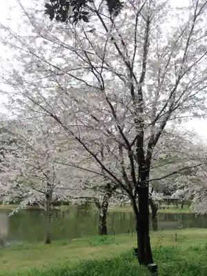 根岸八幡神社(神奈川県)