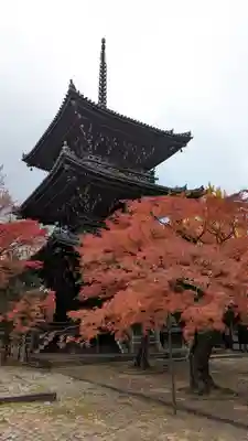 真正極楽寺(真如堂)(京都府)