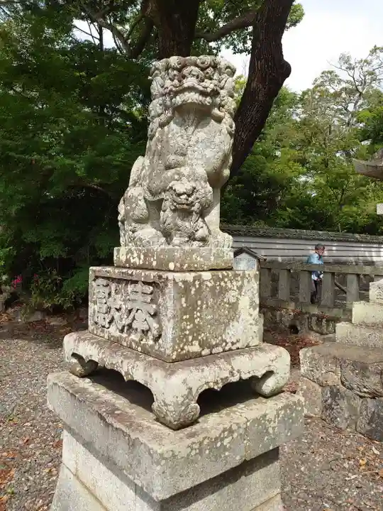 女河八幡宮の狛犬