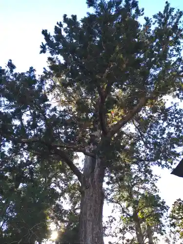 鹿島神宮(茨城県)