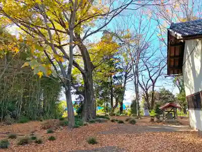 阿保神社(埼玉県)