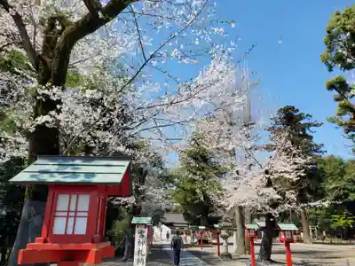 鷲宮神社(埼玉県)