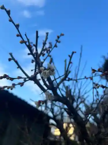 手力雄神社の自然