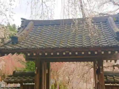 清雲寺の山門