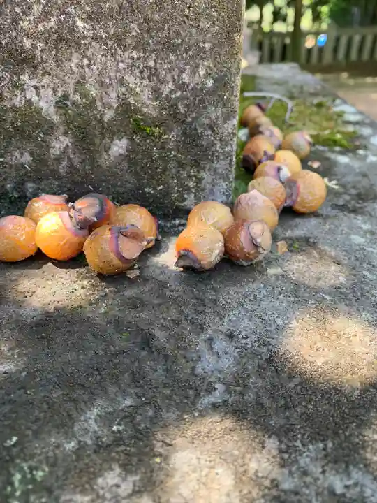 大胡神社(群馬県)