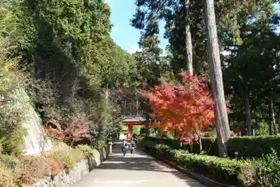 三室戸寺(京都府)