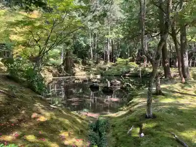 西芳寺(京都府)