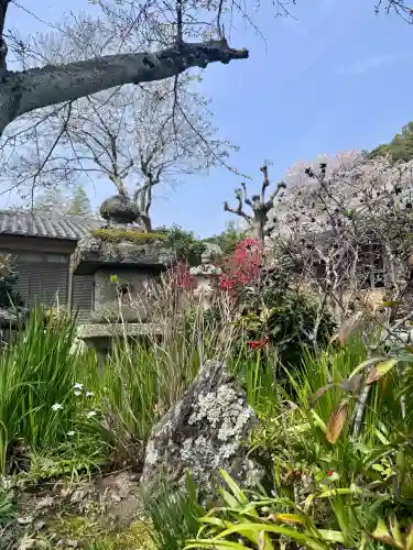 地蔵院の{uncategorized: "未分類", other: "その他", undefined: "問題あり", building: "その他建物", grave: "お墓", sacred_gate: "鳥居", guardian: "狛犬", statue: "像", buddha: "仏像", history: "歴史", nature: "自然", garden: "庭園", animal: "動物", pagoda: "塔", temizu: "手水舎", mountain_gate: "山門・神門", sanctuary: "本殿・本堂", subordinate: "末社・摂社", art: "芸術", scenery: "景色", jizo: "地蔵", ema: "絵馬", goshuin: "御朱印", omikuji: "おみくじ", items: "授与品その他", amulet: "お守り", goshuincho: "御朱印帳", eats: "食事", festival: "お祭り", votive_dance: "神楽", shichigosan: "七五三参", wedding: "結婚式", experience: "体験その他", initially: "初詣", around: "周辺", anti_infection: "感染症対策"}