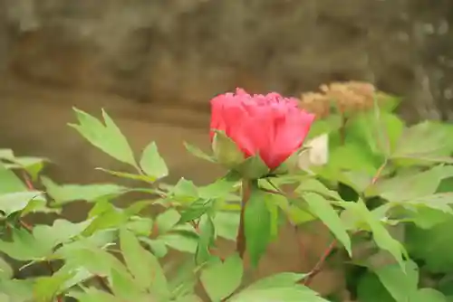 神炊館神社 ⁂奥州須賀川総鎮守⁂の庭園