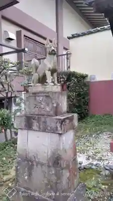 金剛院の狛犬