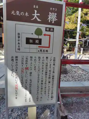 鎮守氷川神社の体験その他
