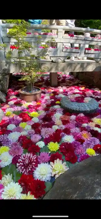 岡寺(龍蓋寺)(奈良県)