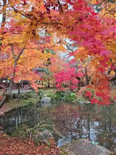 禅林寺（永観堂）(京都府)